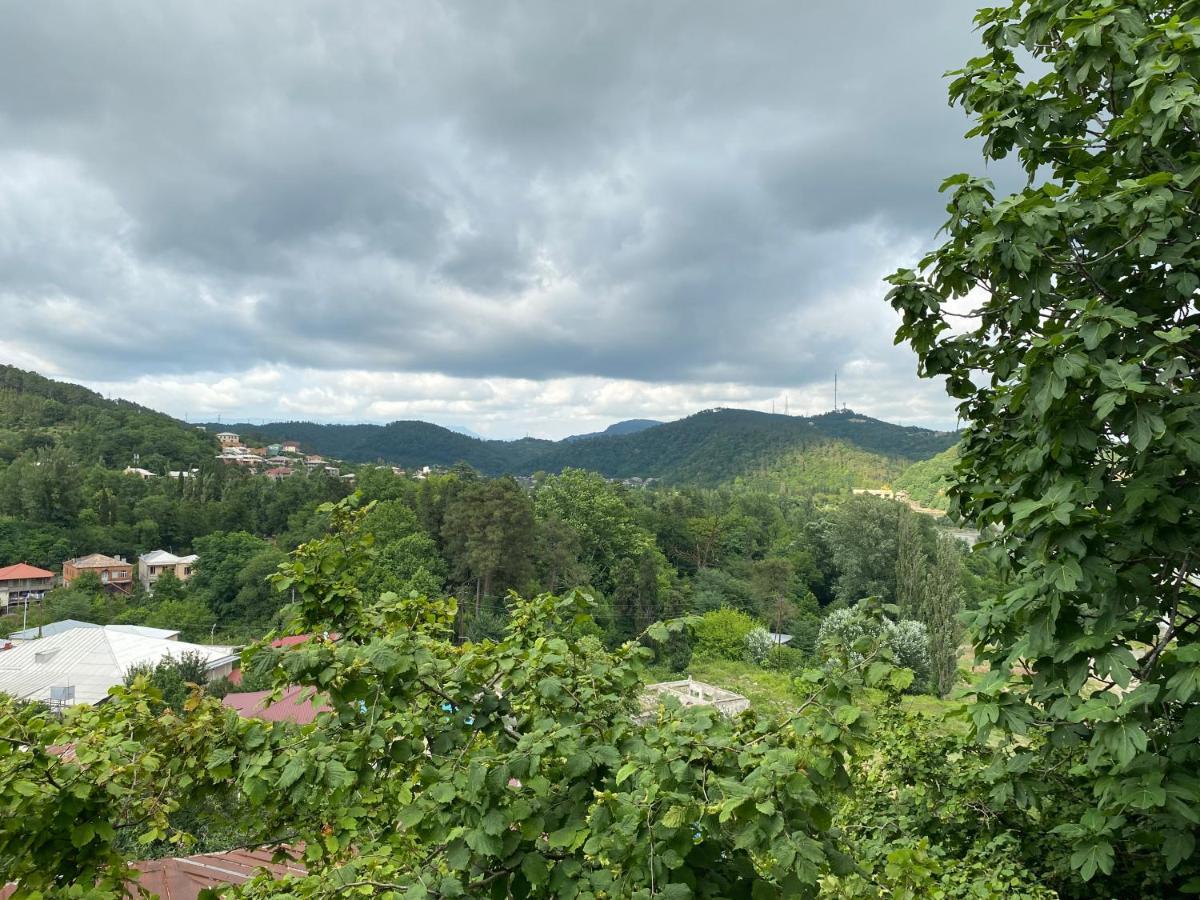 Guest House Royal Comfort With Terrace Kutaisi Exterior foto